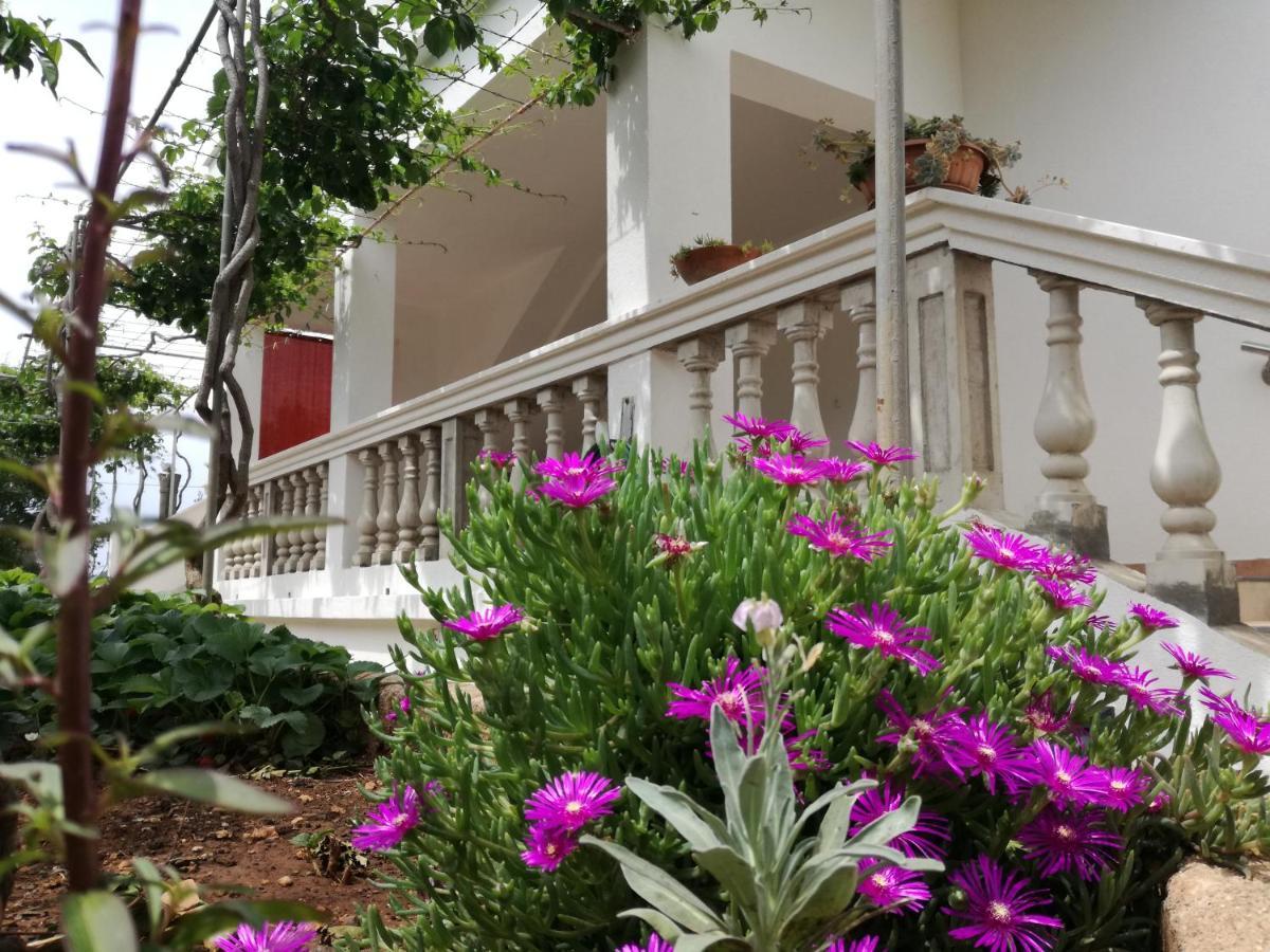 Apartmani Daniela مورتير المظهر الخارجي الصورة